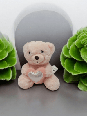 Orso in peluche con cuore personalizzabile con iniziale nome - immagine 4